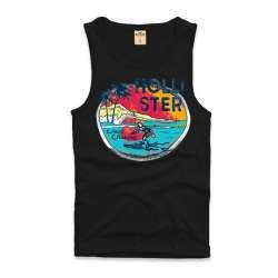 Regata Hollister