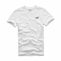 Camisa Hollister
