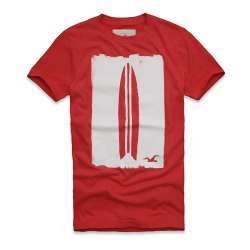 Camiseta Hollister