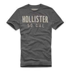 Camisa Hollister