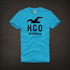 Camisa Hollister