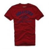 Camiseta Hollister
