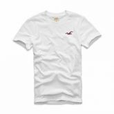 Camisa Hollister
